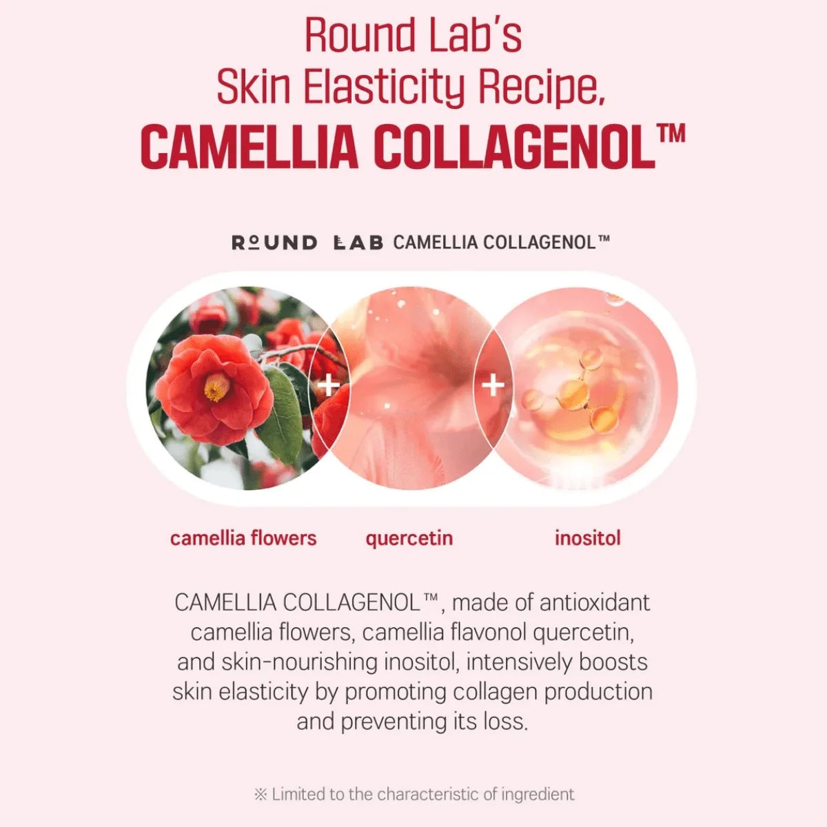 ROUND LAB Camellia Deep Collagen Firming Sun Serum 50ml