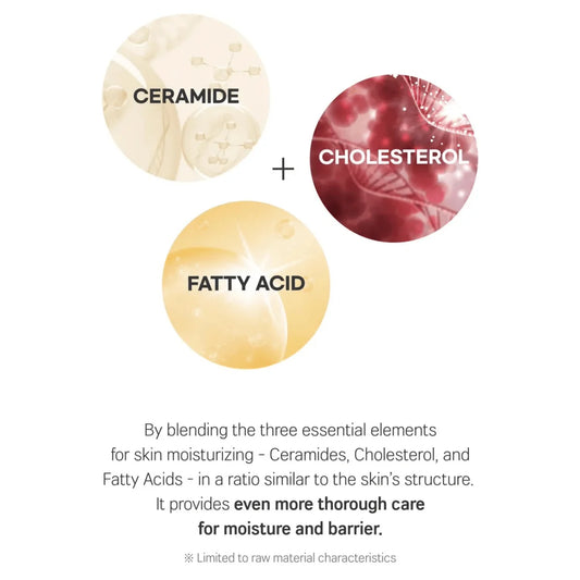 Round Lab Soybean Panthenol Toner 250ml