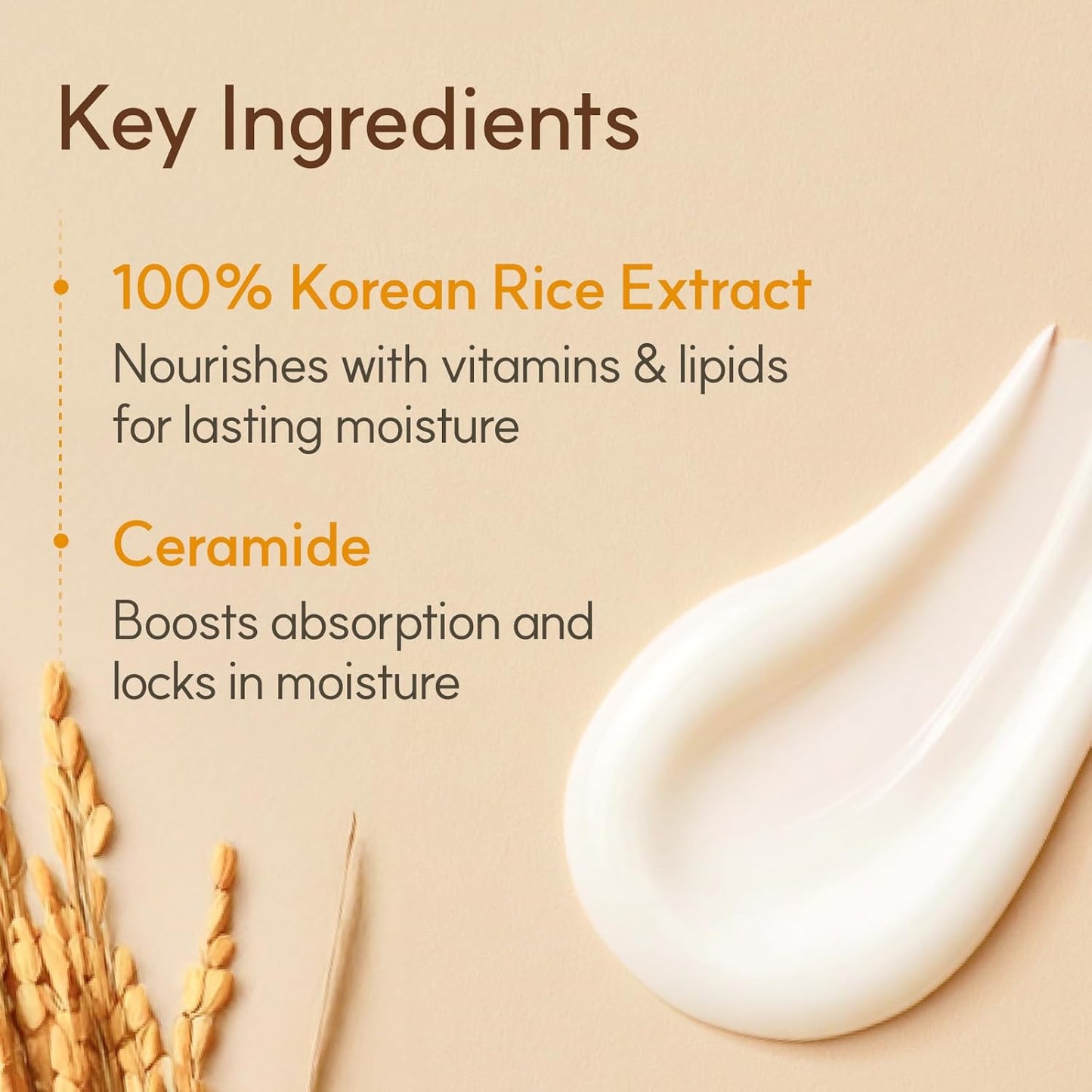 THE FACE SHOP Rice & Ceramide Moisturising Cream 50ml