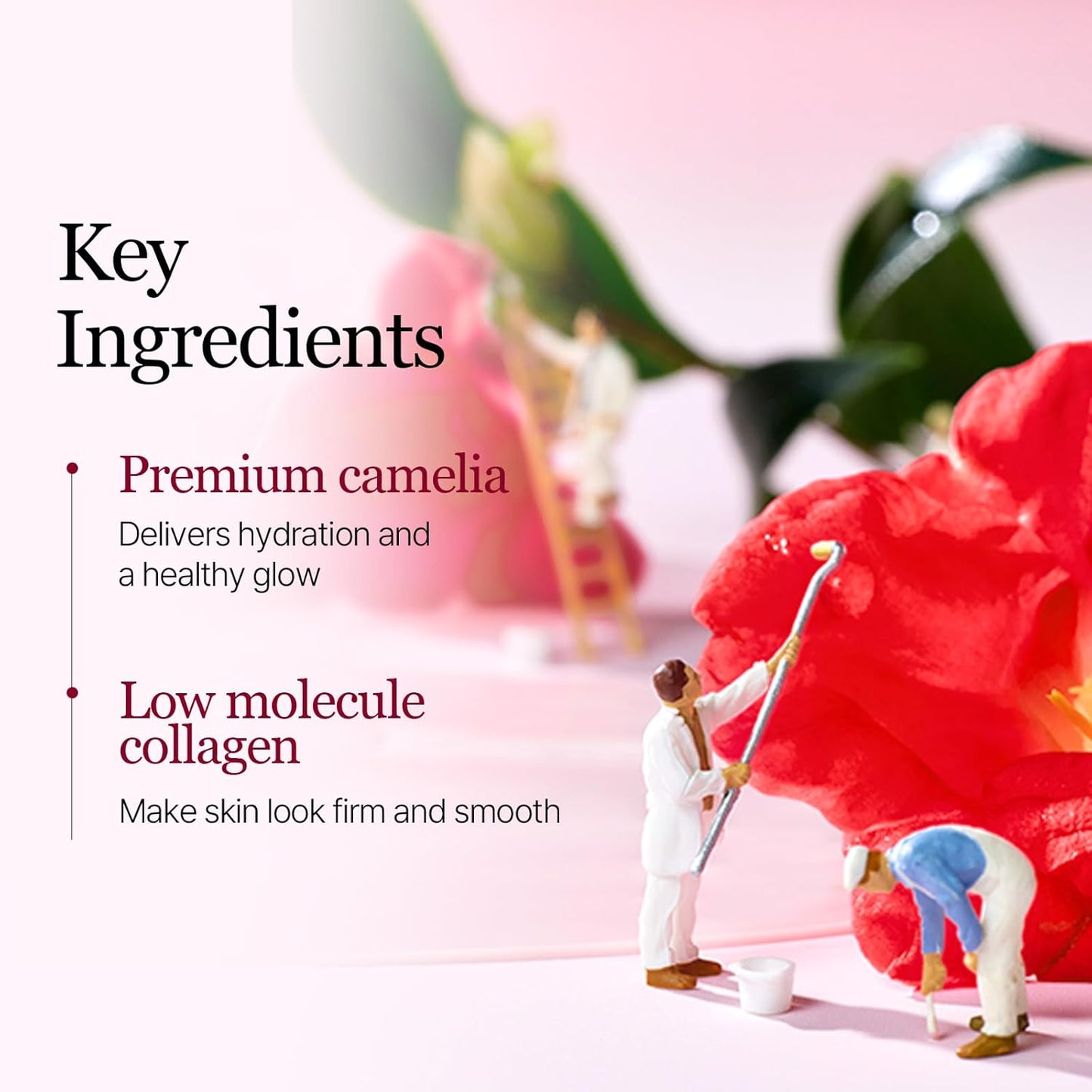 ROUND LAB Camellia Deep Collagen Firming Gel Mask Set [4 sheets]